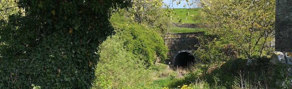 Canal tunnel at Tunnel Hill, Hincaster